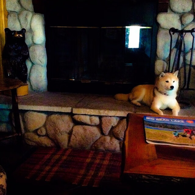 76人恩比德砍下30+,带领球队稳步前进,季后赛形势越来越明朗!,76人恩比德为何没上场