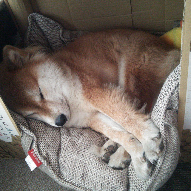 爱游戏体育平台-_勇士出手如神，迎来一波胜利潮_，勇士出击美国大片