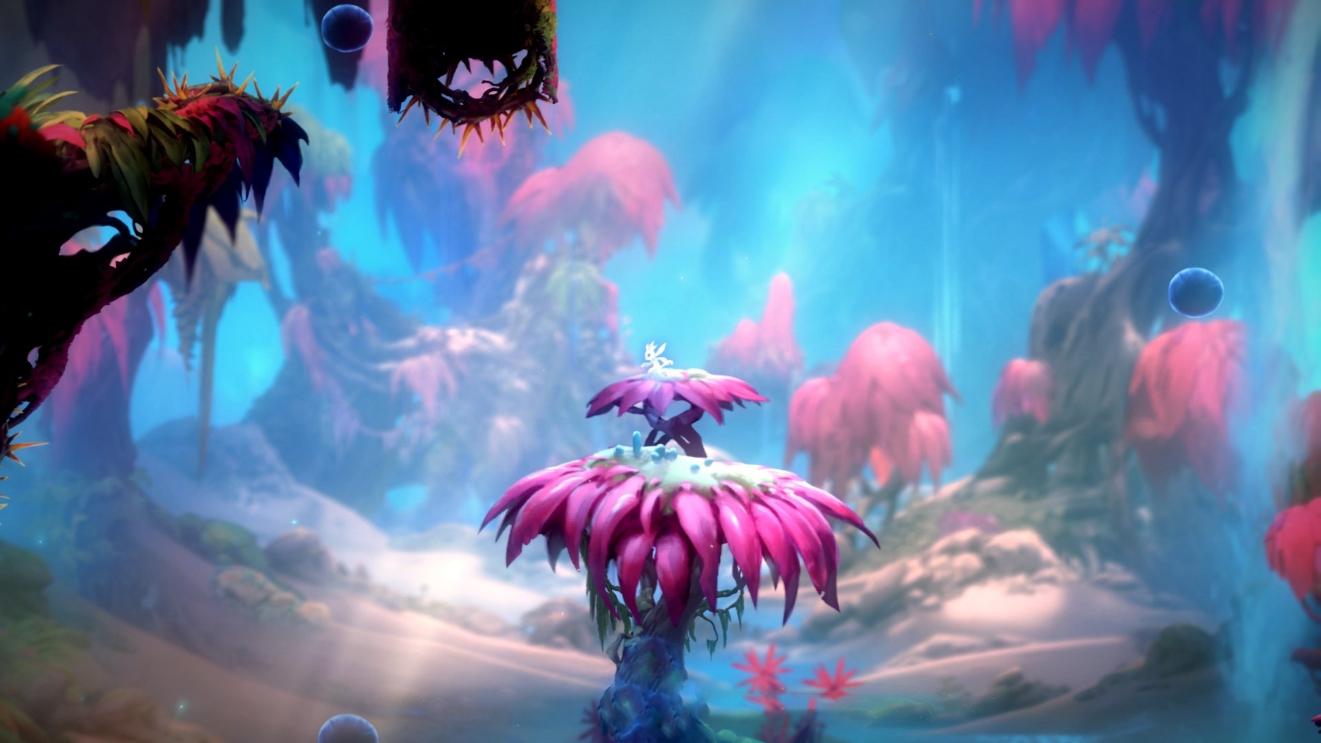 “胜负关键!比赛中的战术应变大揭秘”,全场比赛战术