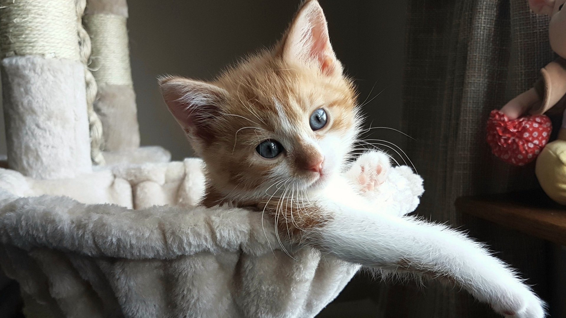 AYX官网-【规则创新】如何改变棒球比赛的战略布局，棒球比赛中会作出何种决策