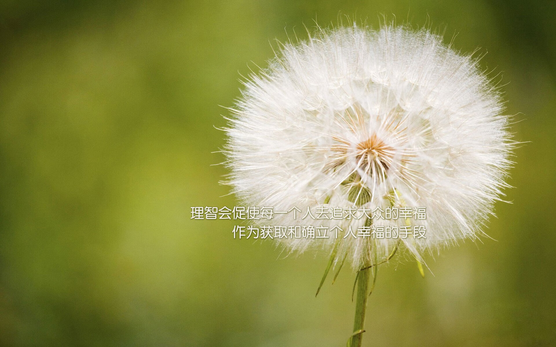 爱游戏娱乐网址-德甲创新战术引领潮流，比赛中精彩瞬间频繁发生，德甲的比赛