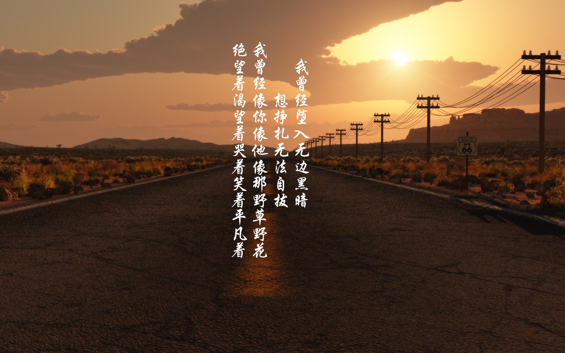 现场直播:观众全程零死角体验精彩瞬间