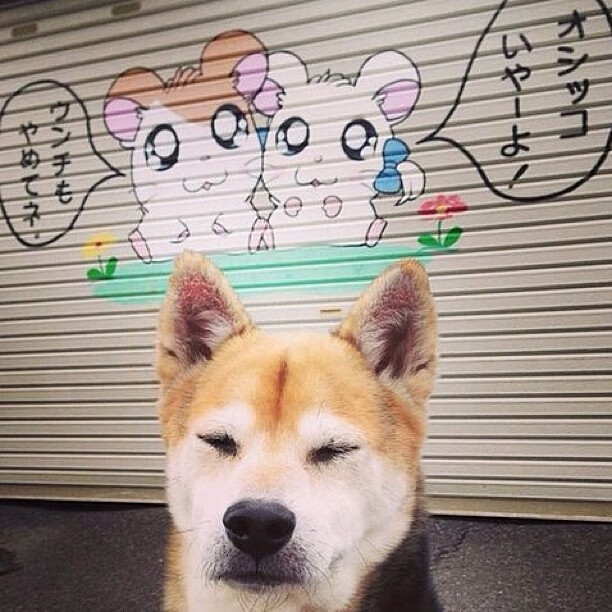 赛场外：车手的体能训练秘籍，车手体重对赛车的影响