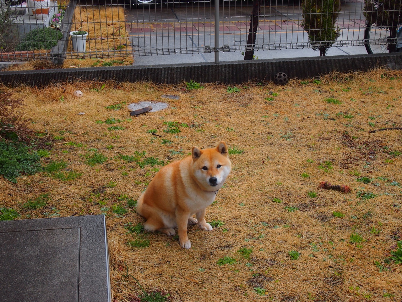 赛场激烈冲刺,车手如何抓住最后一刻,赛场激烈冲刺,车手如何抓住最后一刻的机会