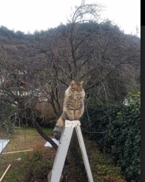 爱游戏电竞官网-RNG战队主场馆升级为“省级电竞训练中心”