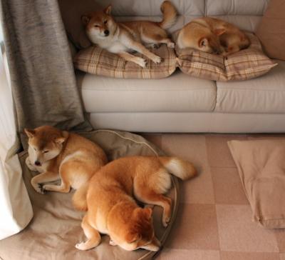 中国足球青训体系如何突破瓶颈,中国足球青训现状2020