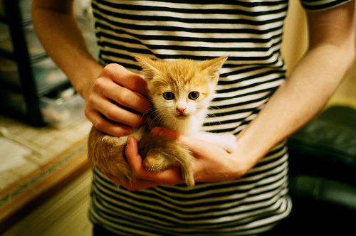 精彩CBA篮球赛即将打响,球迷热情加剧,cba 集锦