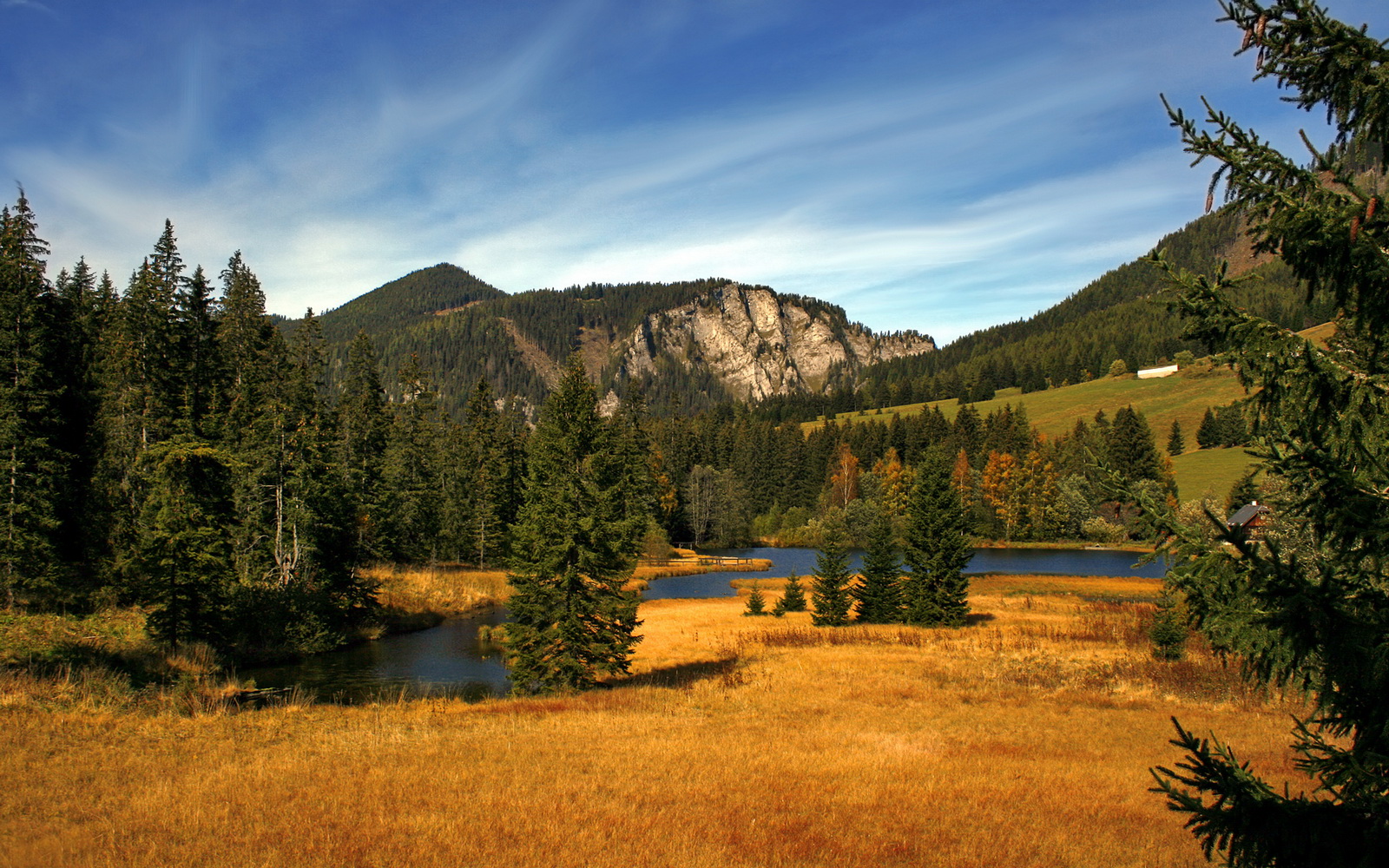 韩选手星际争霸世界赛夺冠，星际争霸韩国冠军