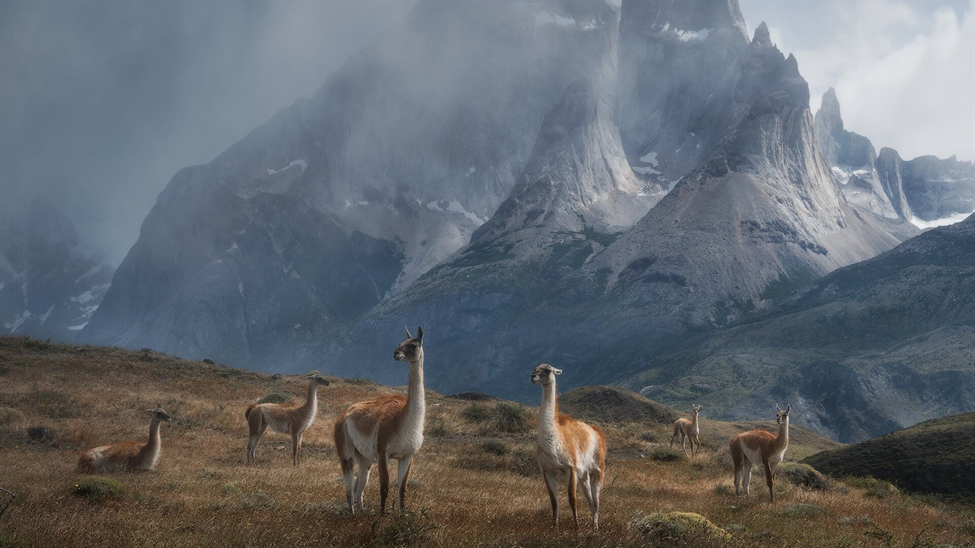 连胜终结后,球队表示将认真总结问题。,连胜结束
