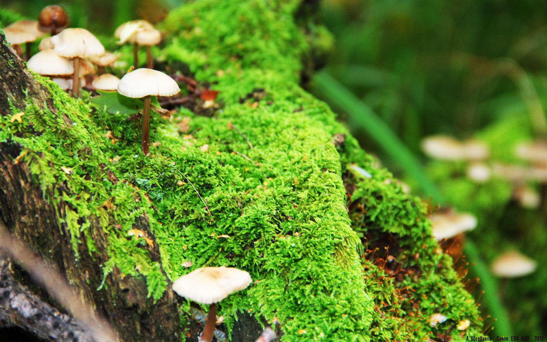 巴尔:他在全黑队中场的稳定发挥让球队的进攻和防守形成完美平衡