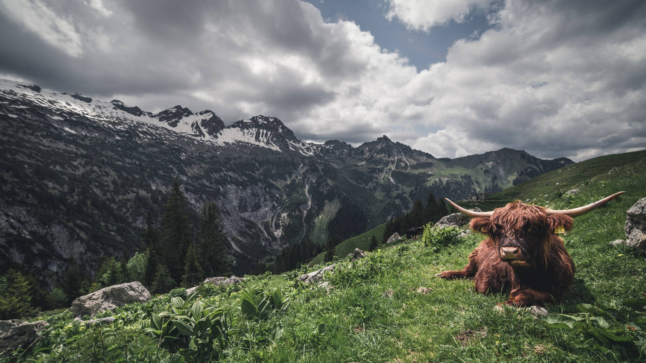 男队体能储备策略见成效,体能储备训练计划